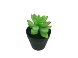 5.5 H Black Planter Pot w/ Lotus Succulent Forever Artificial Green Turf Moss