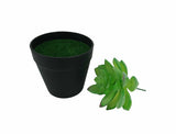 5.5 H Black Planter Pot w/ Lotus Succulent Forever Artificial Green Turf Moss