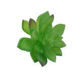 5.5 H Black Planter Pot w/ Lotus Succulent Forever Artificial Green Turf Moss