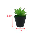 5.5 H Black Planter Pot w/ Lotus Succulent Forever Artificial Green Turf Moss