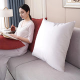 19X19 Inch Baby Fleece Pillowcase Gray Soft Soild Square Throw Pillow Cover 22007