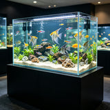 19.3 X 11 X 11¡± Ultra Clear Glass Aquarium 10 Gallon Rimless Fish Tank 6MM Glass 22203-10