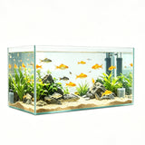 19.3 X 11 X 11¡± Ultra Clear Glass Aquarium 10 Gallon Rimless Fish Tank 6MM Glass 22203-10