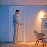 FixtureDisplays? 30 x 96 Premium MDF Interior Door 22207-D4-D13