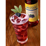 Monin Sugar Free Blackberry Flavoring Syrup 1 Liter WS-544SYPFS006F
