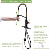 RUVIDA Black Kitchen Sink Faucets Pull Down Sprayer,Stainless Steel Spring Sink FK121054BKSG-I