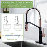 RUVIDA Black Kitchen Sink Faucets Pull Down Sprayer,Stainless Steel Spring Sink FK121054BKSG-I
