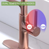 RUVIDA Kitchen Sink Faucets Pull Down Sprayer,Stainless Steel Spring Sink Faucet FK121054SNCG-I