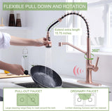 RUVIDA Kitchen Sink Faucets Pull Down Sprayer,Stainless Steel Spring Sink Faucet FK121054SNCG-I