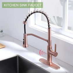 RUVIDA Kitchen Sink Faucets Pull Down Sprayer,Stainless Steel Spring Sink Faucet FK121054SNCG-I