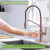 RUVIDA Kitchen Sink Faucets Pull Down Sprayer,Stainless Steel Spring Sink Faucet FK121054SNCG-I