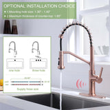RUVIDA Kitchen Sink Faucets Pull Down Sprayer,Stainless Steel Spring Sink Faucet FK121054SNCG-I