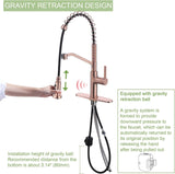 RUVIDA Kitchen Sink Faucets Pull Down Sprayer,Stainless Steel Spring Sink Faucet FK121054SNCG-I