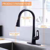 Ruvida Kitchen Faucets,Matte Black Kitchen Faucet, with Pull Down Sprayer FK121064BK