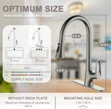 Ruvida Kitchen Faucets,Brushed Nickel Kitchen Faucet with Pull Down Sprayer FK121064NP