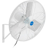 GLOBALIND-604196