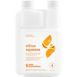 Paint Scentsations 106-10 10oz Citrus Squeeze Odor Control Paint Additive-1PK LANC-207851