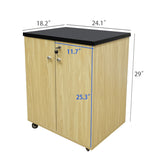 Returned Mobile Cabinet Workstation Push Cart Island Kitchen Garage PrinterStand RTN18536-CABINET