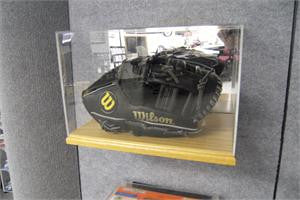 Baseball Glove display case with Oak base 100044