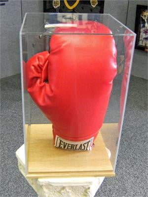 Single Boxing glove display case with Oak base 100052