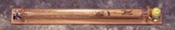 Baseball Bat,Baseball, Sportscard display case 100083