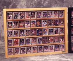 50 Baseball card displays case will hold 50 ungraded baseball cards 100095