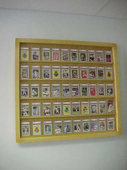 Golden Oak 50 Graded card Baseball card displays case