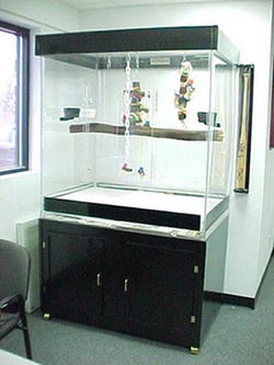 Macaw Acrylic Cage black base 100156
