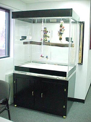 Macaw Acrylic Cage no base 100159