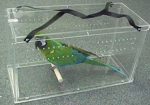 Macaw Acrylic Carriers 100161