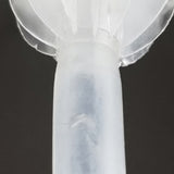 Silicone Tubing Food Grade 0.236 inches ID x 0.35 inches OD 39 inches Long 10122-SOFT TUBE
