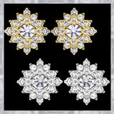 E245 Forever Silver Plated Cluster Earrings102860-Silver