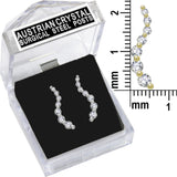 E250S Forever Silver Plated C.Z. Journey Of Life Earrings102989