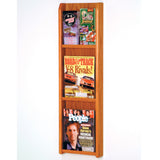 Divulge 3 Magazine/6 Brochure Wall Display w/Brochure Inserts 104312