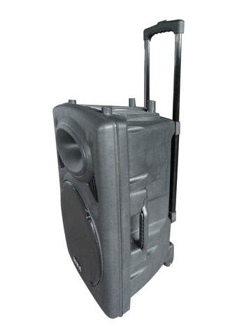 PA  Portable Audio System Wireless 11838