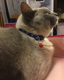 Lovely Adjustable Pet Collar With A Small Bell- Blue12251