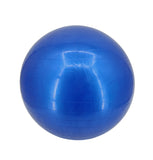 55Cm Exercise Ball Yoga Ball Fitness Stability Ball Balance Ball Gym Theraball