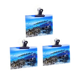 3 PK 2" W Clip  Diameter Suction Cup Clips Clamps Glass-Window-Refrigerator Tile 15650-3PK