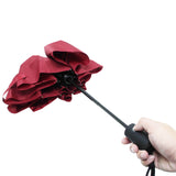 Sports (FDS) Auto Open/Close Travel Umbrella, Windproof/Waterproof/Anti UV Compact Umbrellas 16077