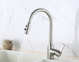 Single Handle/Hole Modern Kitchen Faucet With Pullout Handspray 16083