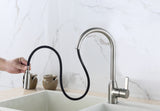 Single Handle/Hole Modern Kitchen Faucet With Pullout Handspray 16083
