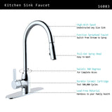 Single Handle/Hole Modern Kitchen Faucet With Pullout Handspray 16083