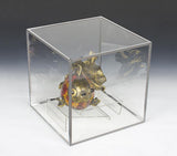 16" x 16" Sports Display Case w/ Lockable Top, Acrylic Panels   Silver Frame 19380