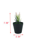 7" H Black Planter w/ Succulent Aloe Vera Forever Artificial Green Turf Moss