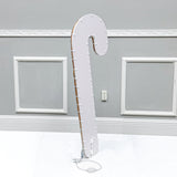Christmas Candy Cane Indoor Outdoor Lighted Yard Sign Rope Light 110V 21782